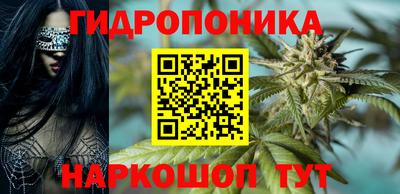 дурь Гай