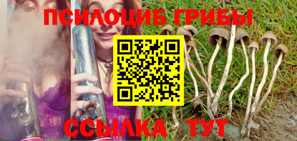 Галлюциногенные грибы Psilocybine cubensis  Вход с VPN  Елец  Псилоцибиновые грибы GOLDEN TEACHER 
